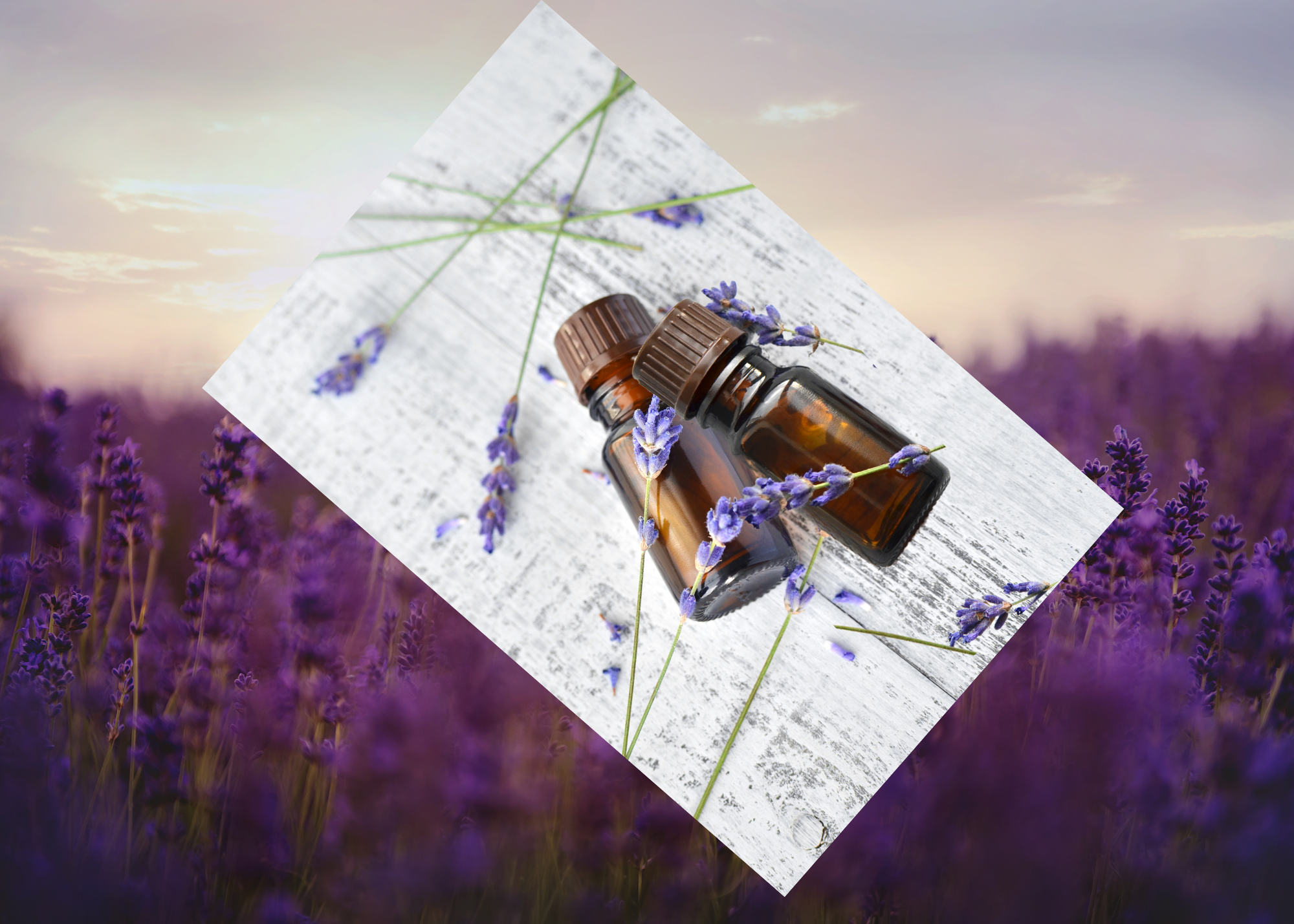 Why the Same Essential Oil Can Smell Different from Bottle to Bottle