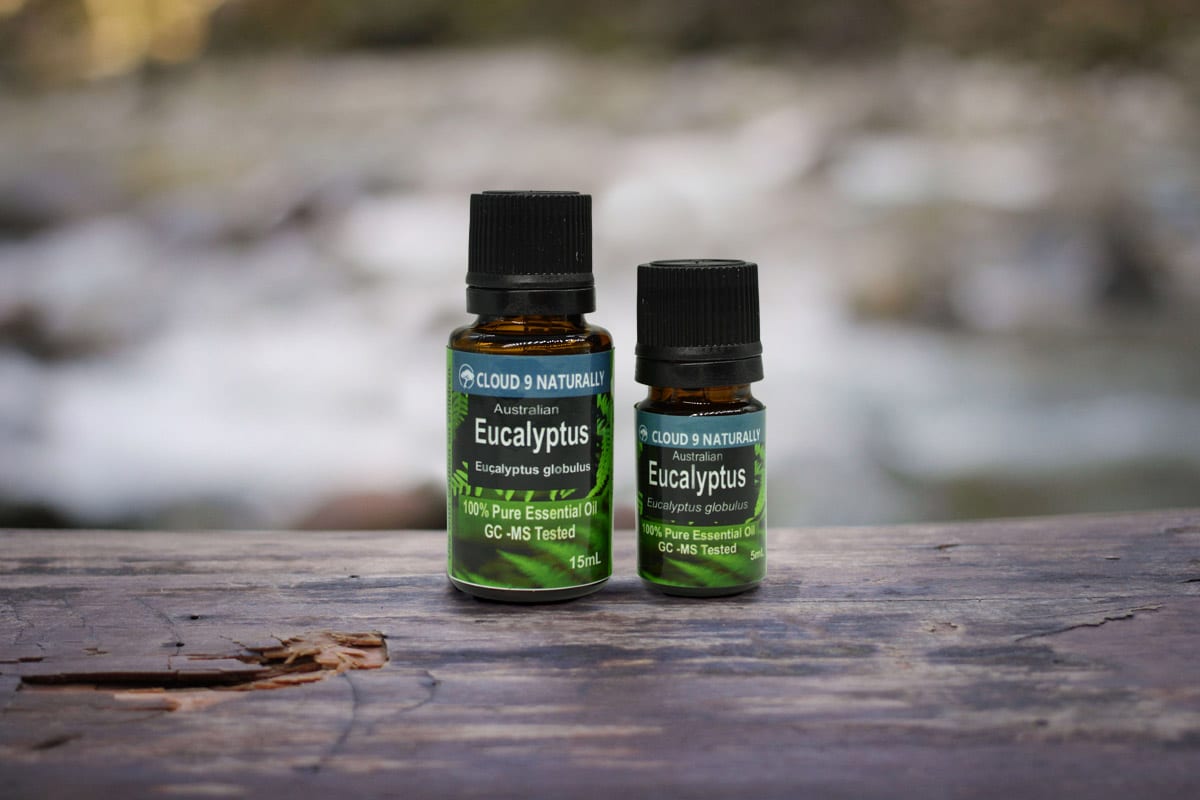 Essential Oil: Eucalyptus globulus
