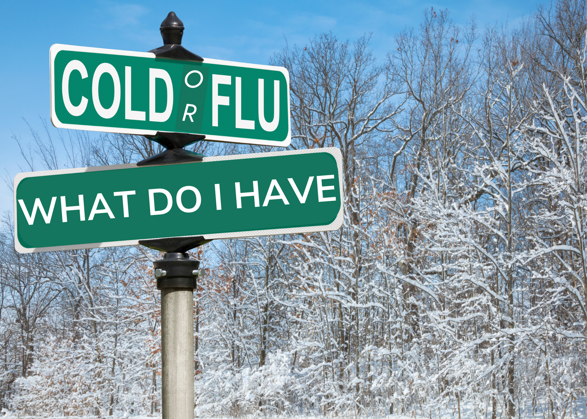 What Do I Have - Cold or Flu?