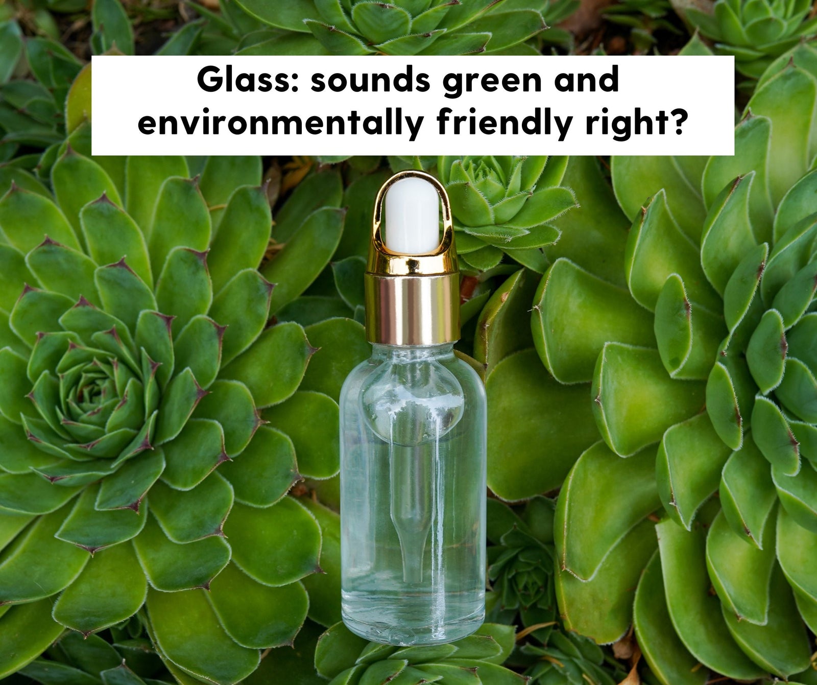 Greenwashing & Cosmetic Packaging: The Hidden Truth
