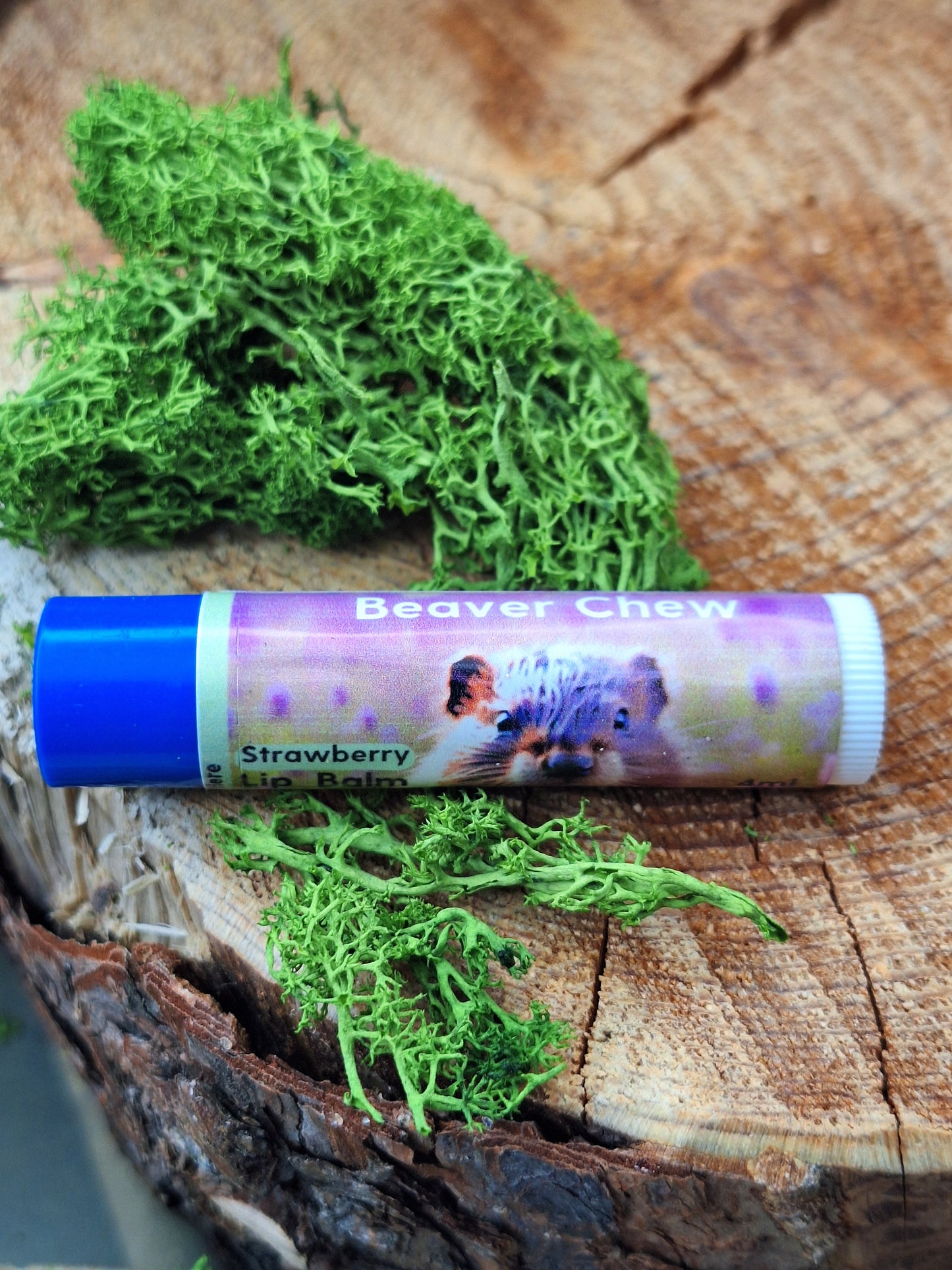 4ml kids lip chap Beaver chew. with a blue lid strawberry flavor.
