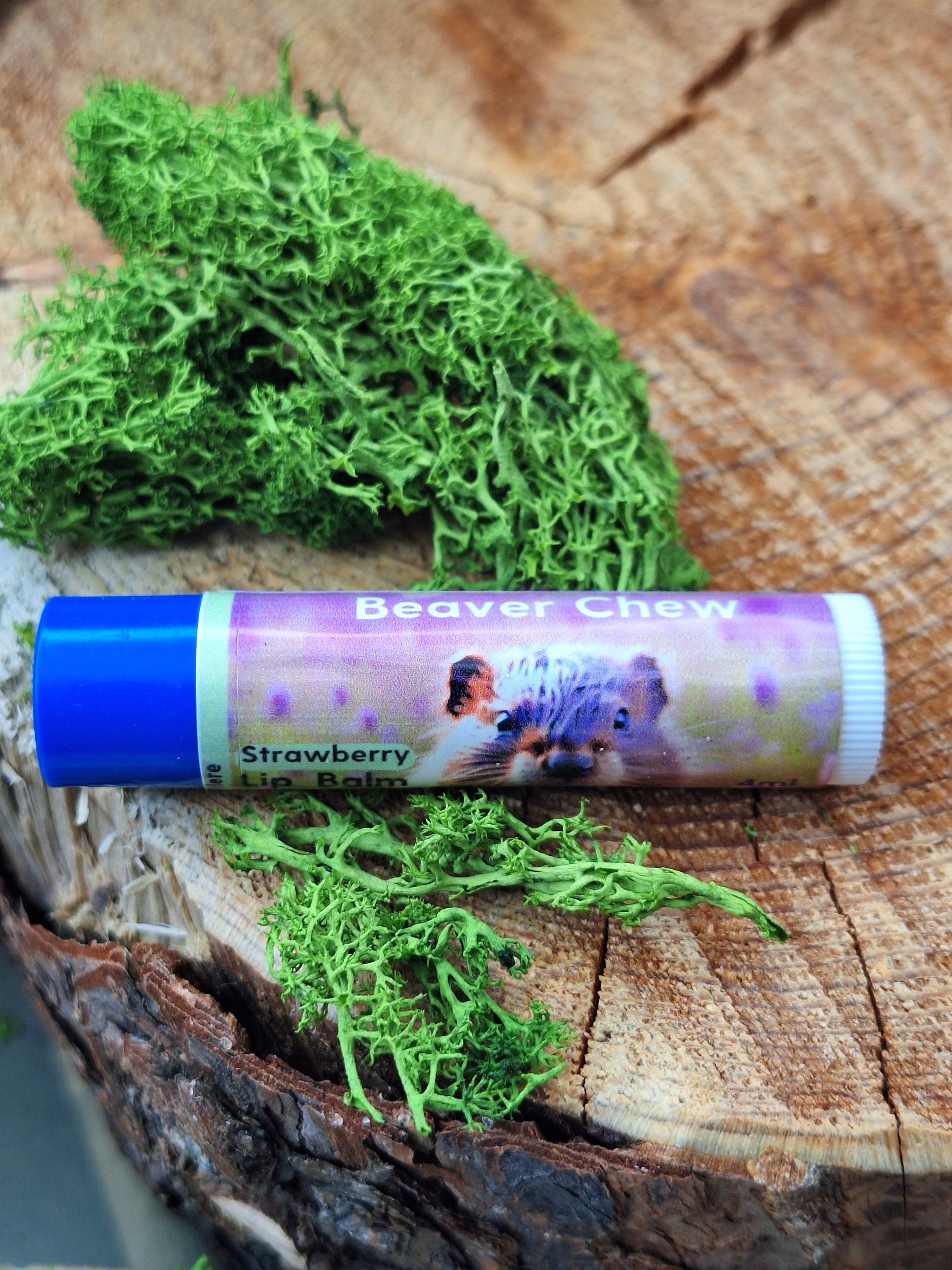 4ml kids lip chap Beaver chew. with a blue lid strawberry flavor.