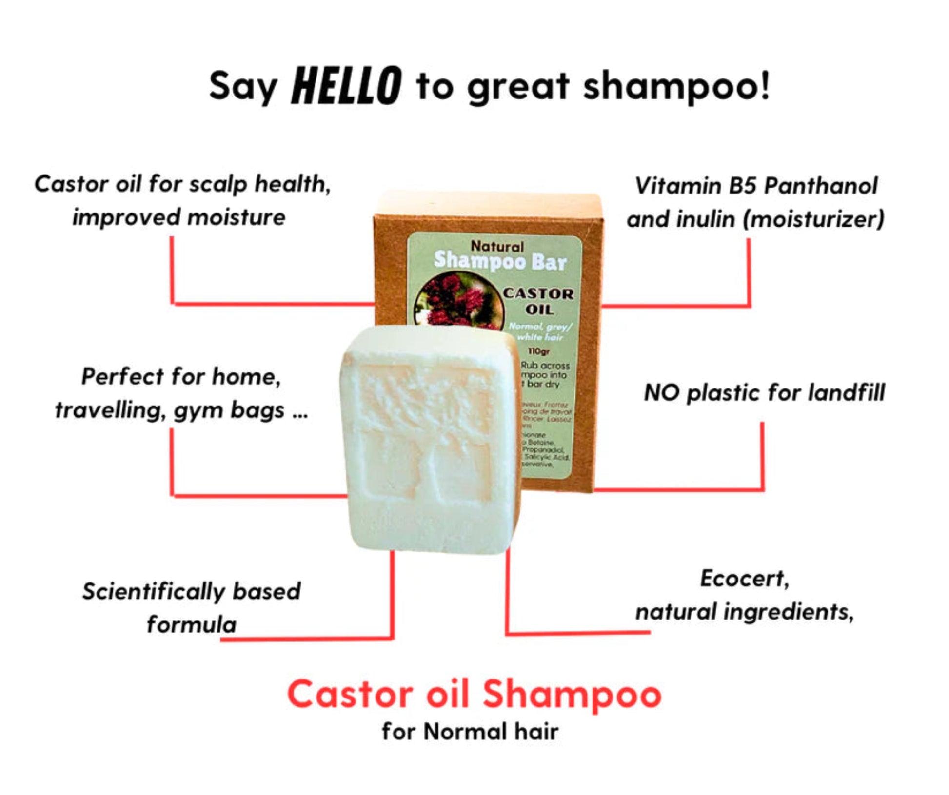 Castor oil shampoo bar and its packaging box shown on a white background with callout lines and text describing ingredients and benefits.