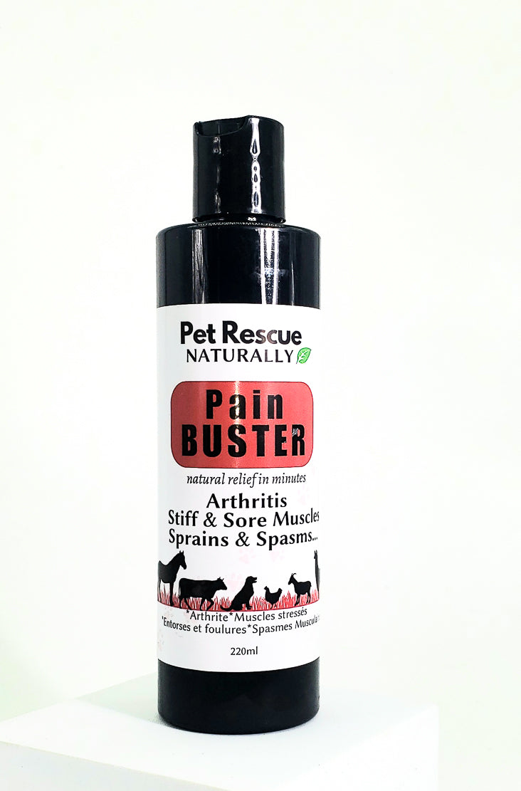 220ml Black plastic Pet Rescue Pain Buster arthritis lotion with a picture of a horse, cow, dog , chicken goat and lama.