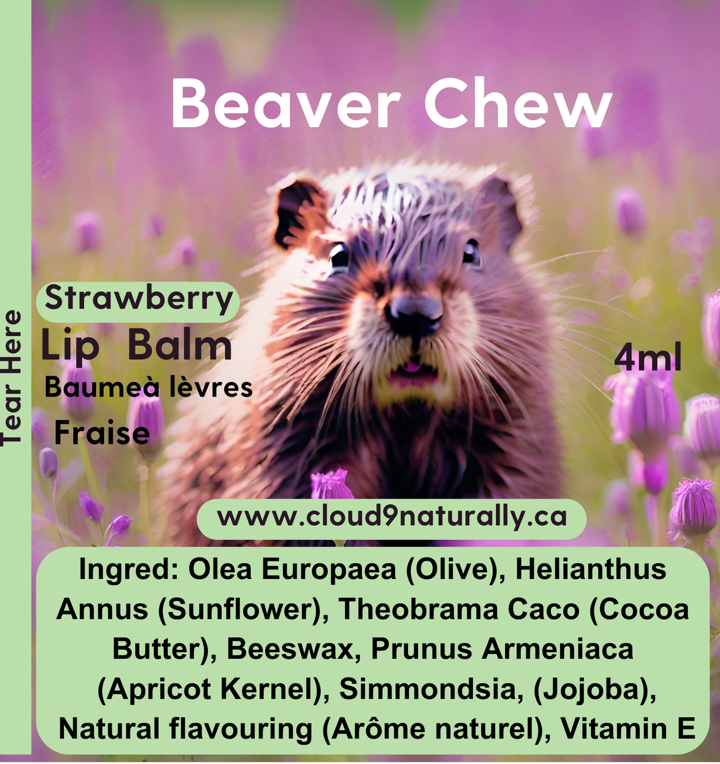 Beaver chew kids 4 ml lip chap, purple background with a baby beaver. Straberry flavor.
