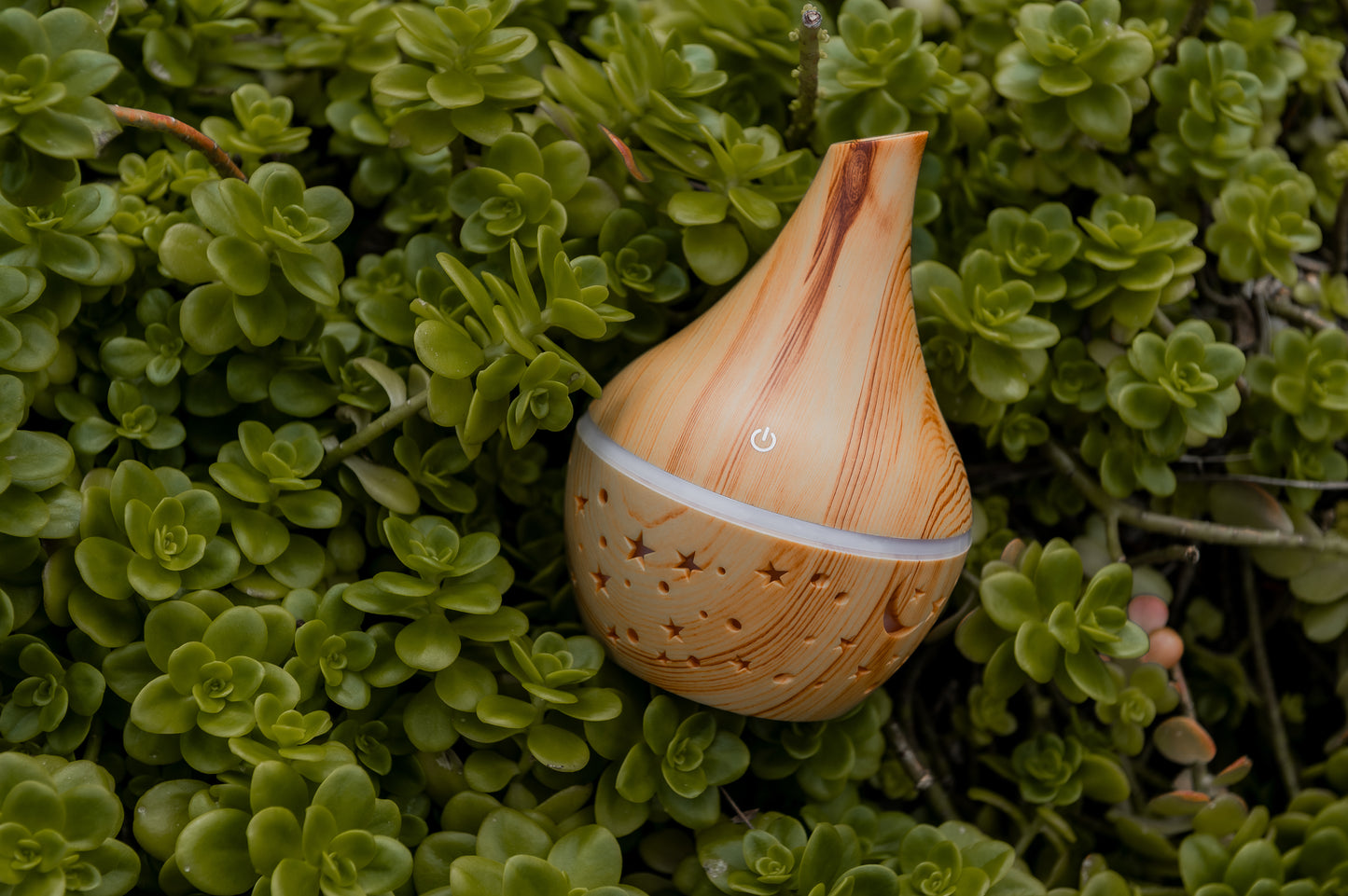 Diffuser  - Moon and Stars Mini