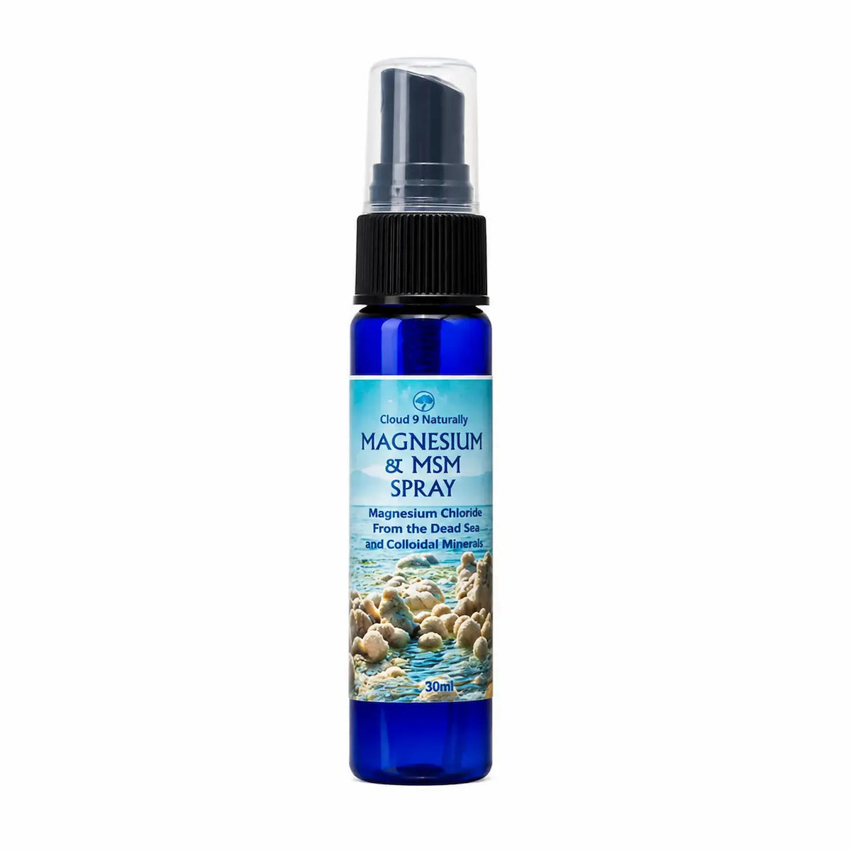 Blue spray bottle labeled 'Magnesium & MSM Spray' on a white background
