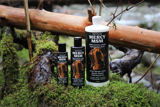 Mercy Lotion - All-Natural Pain Relief